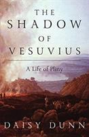 The_shadow_of_Vesuvius